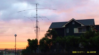 �A�}�`���A�����̎ʐ^